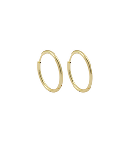 products/14kgoldfilledsmallhoops.png